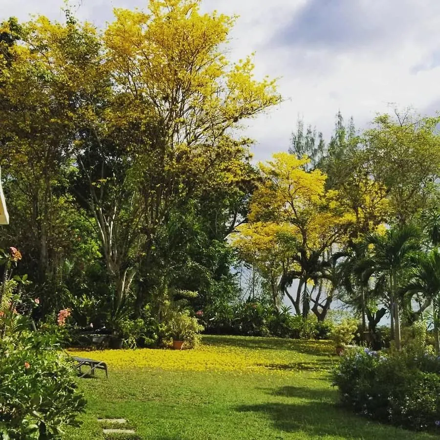 Contemporary Ocean And Garden- View Studio Mearnsville