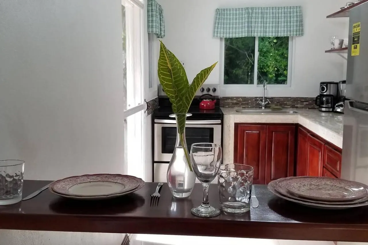 Contemporary Ocean And Garden- View Studio Apartment Mearnsville 0*,  Jamaica