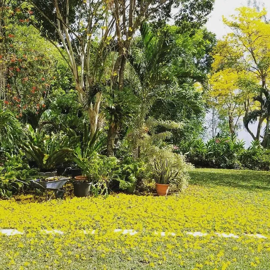 Contemporary Ocean And Garden- View Studio Apartment Mearnsville Jamaica