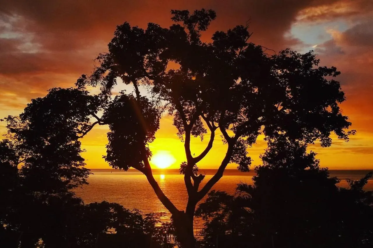 Contemporary Ocean And Garden- View Studio Apartment Mearnsville Jamaica